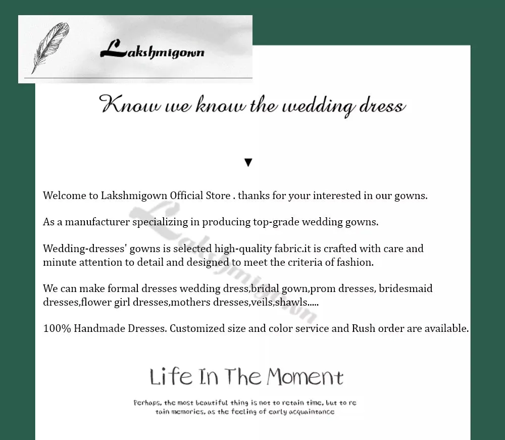 Romantic V Neck Lace A Line Wedding Gown for Bride 2024 Satin Open Back Women Wedding Dress vestido de fiesta de boda