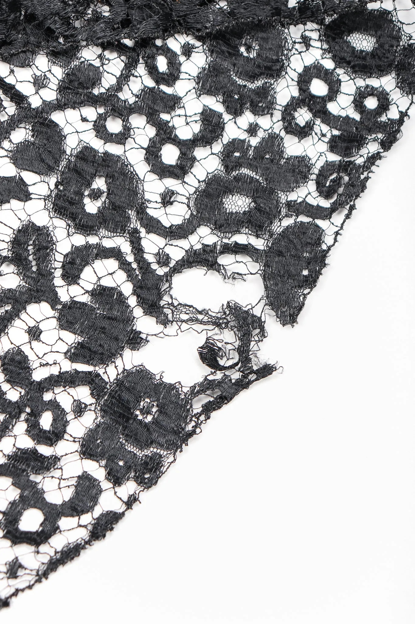 Sheer Embroidery Lace Dress